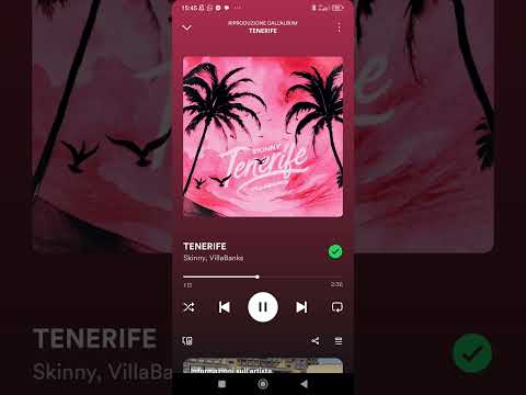 Skinny - TENERIFE Villabanks