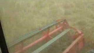 preview picture of video '2008 Kansas Wheat Harvest'