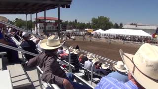 preview picture of video 'Animals Abused, Documenter Harassed at Cheyenne Frontier Days Rodeo'