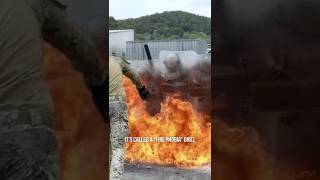 Download lagu Why Soldiers Throw Molotov Cocktails At Each Other mp3