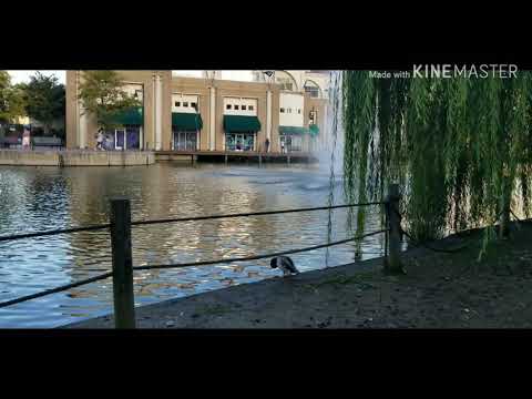 We have a false idea of what heaven is like