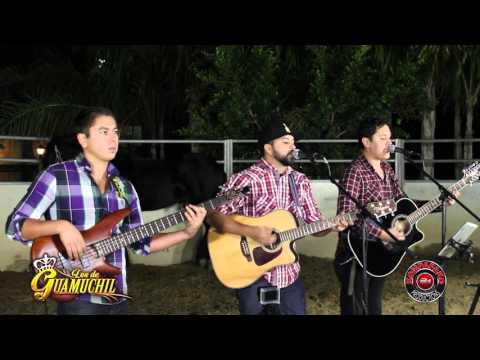 Los De Guamuchil - Verde Anaranjado (8 Luzes) [Inedita En Vivo]