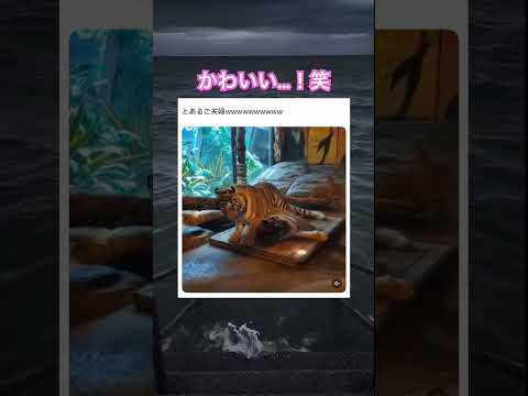 虎さんも結局猫ちゃんなんです笑　#shorts#動物#かわいい#可愛い#癒し#癒し動画 #猫 #虎