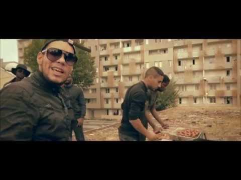 Yax x Dyban Hydroponic