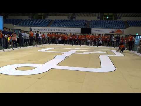 2014 Worldwide Freescale Cup Championship "Broken chips" Team