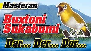 Download lagu MASTERAN PLECI BUXTONI SUKABUMI NEMBAK DAR...DER..DOR.....!!!! mp3
