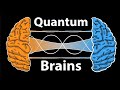 Are You Secretly A Quantum Computer