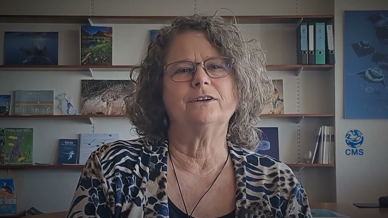 Message of Amy Fraenkel, CMS Executive Secretary to mark World Migratory Bird Day 2026