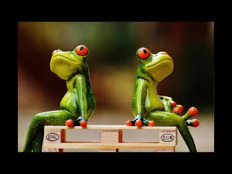 Aristotle On Friendship