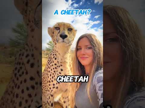 He Did THIS To A Bull… Here’s Why 😳🐂