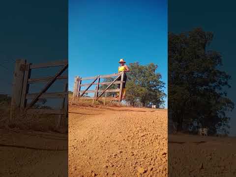 Caminhada sertaneja Comunidade Santa Rita município Vianópolis Goiás Brasil