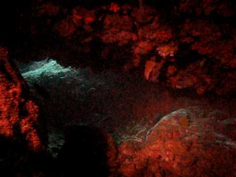 download lagu mp3 mp4 White Tip Cebu, download lagu White Tip Cebu gratis, unduh video klip White Tip Cebu