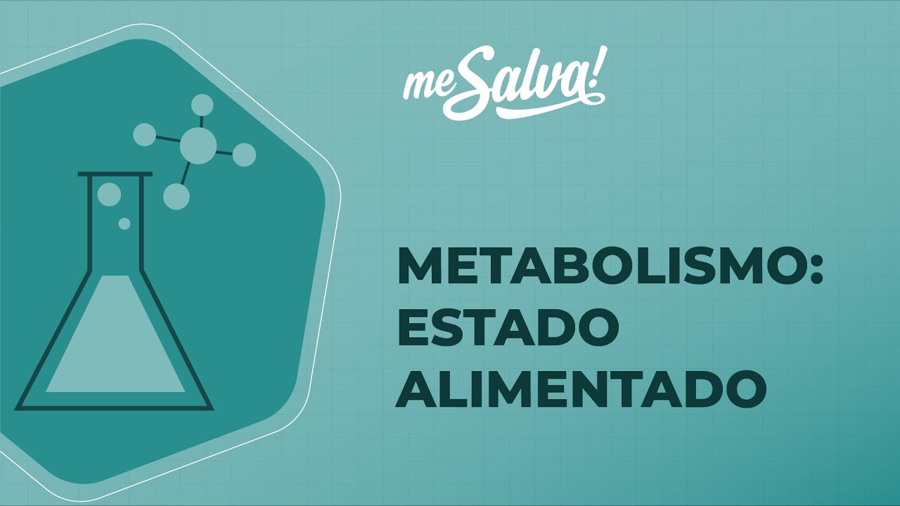Metabolismo – Estado alimentado  - Bioquímica - Me Salva! Saúde