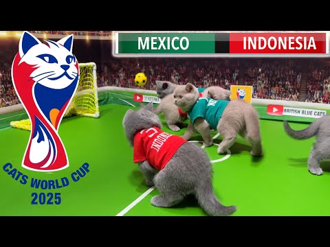 Cat Football World Cup 2025 🐱⚽ | Mexico vs Indonesia 🏆 | Game 2 – British Blue Cats Kittens