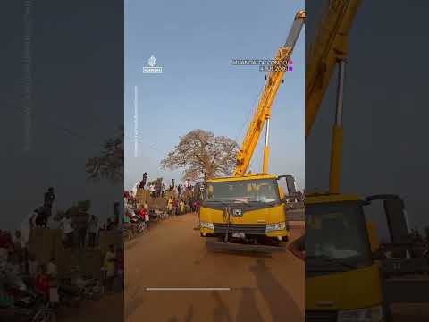 12-tonne whale removed from DR Congo beach | AJ #shorts