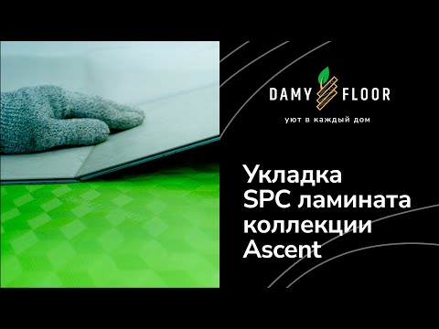 Обзор Укладка SPC ламината DAMY FLOOR коллекции Ascent