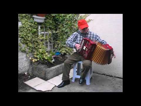 Gerry O'Sullivan - Dowd's Favourite