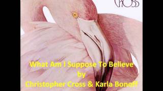 What Am I Suppose To Believe / Christopher Cross &amp; Karla Bonoff