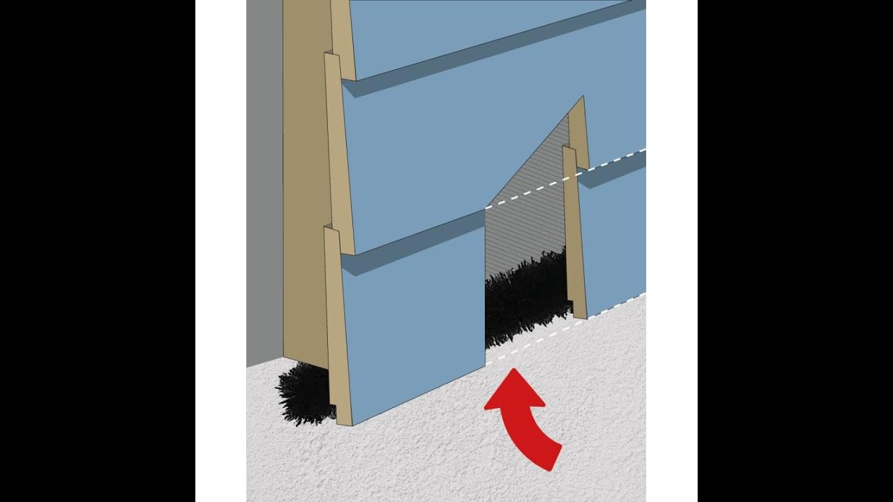 Musebørste & Rottebørste PROFF 5 M x 8 CM