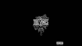 The Vines - Gross Out