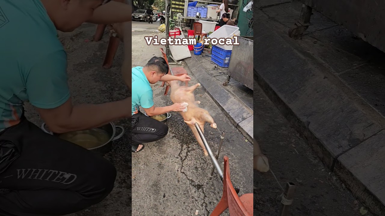 베트남 로컬 #vietnam #하노이맛집 #hanoi #베트남 #여행 #gd