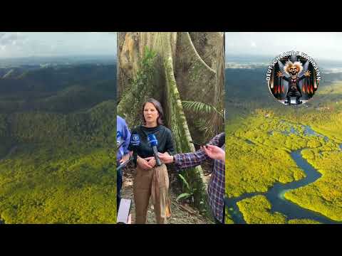 Baerbock...wird da wirklich im Hintergrund ein Baum abgesägt❓🤯 #afd #remigration #werteunion