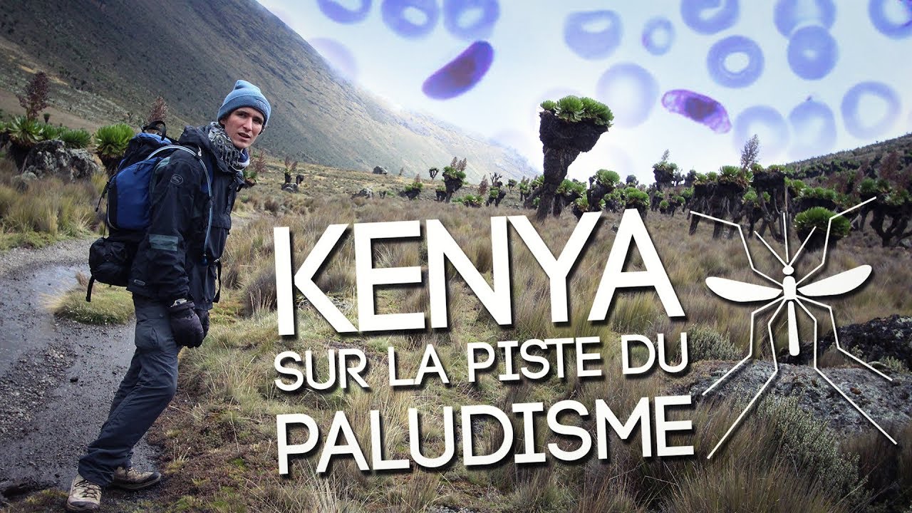 Kenya : sur la piste du Paludisme (Cycle, symptômes, prévention) [English sub]