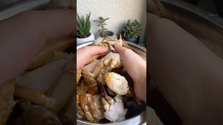 Download lagu Kepiting Saus Padang 🦀 mp3