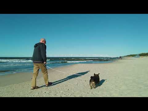 Plaża w Niechorzu - wspomnienia z nad morza! [4k]