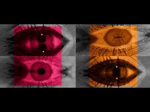 Poetry In Telegrams - POETRY IN TELEGRAMS (ft. Gil Sharone) - The Crowds [Official Vis