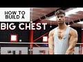 HOW TO BUILD A BIG CHEST! (EXPLAINED)