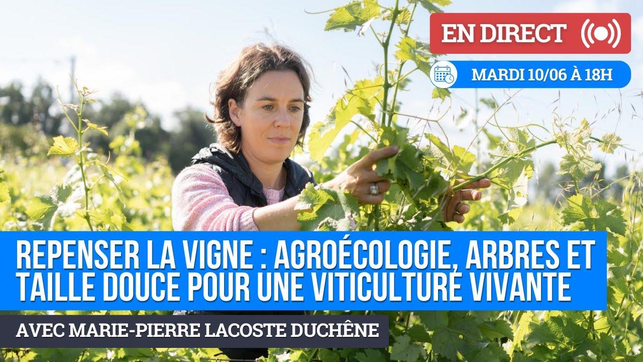 WEBINAIRE : Repenser la vigne : agroécologie, arbres et taille douce pour une viticulture vivante