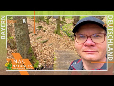 Steigerwald Nature Park - Three Forests Trail - Spring Holiday 2023 Day 4