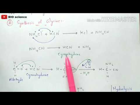 Beta oxidation of Fatty acids Energetics By phanindra