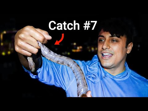 GIANT PARASITIC WORM (Tide Pooling)