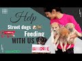 Serving The Voiceless Is True Humanity Streetdogslover Savestreetdogs Humanity Kindness Viral