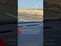 HEFTIG ongeluk: SCHAPEN doodgereden | #shorts