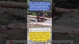 Download lagu 🔴kang dedi mulyadi‼️bantu viralkan mp3