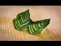 Japanese Cucumber Leaf Decoration Sushi.