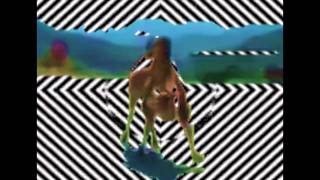 Bloody Beach - Quembo Que