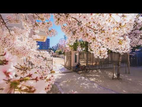 Dima Bigulaev, G Day - Laboratory (Kooscha Remix)