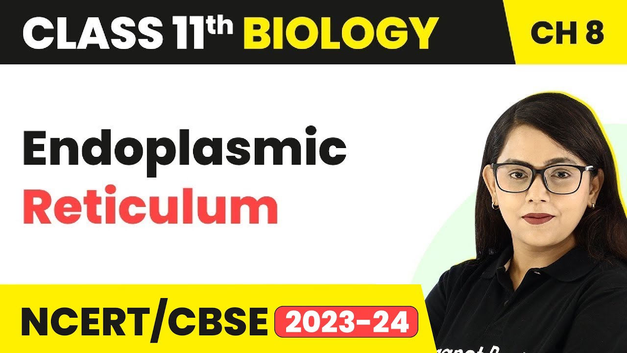 Endoplasmic Reticulum - Cell: The Unit of Life | Class 11 Biology