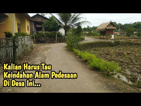 Pesona Keindahan Desa Pekuncen Kecamatan Jatilawang Kabupaten Banyumas 