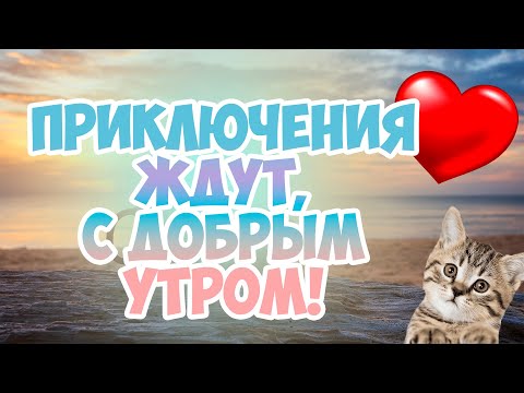 🌞🌞Доброе утро, нежный рассвет, новые мысли, новые встречи, пусть этот день подарит ответ!!!🌞🌞