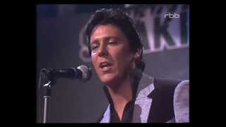 Shakin&#39; Stevens - Shirley