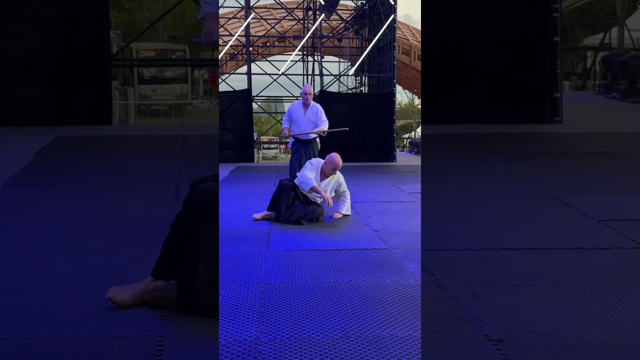 Aikido Embukai in Chengdu by Patrick Benezi Shihan