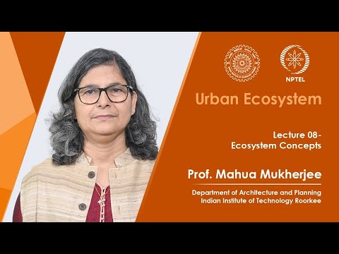 Lecture 8: Ecosystem Concepts