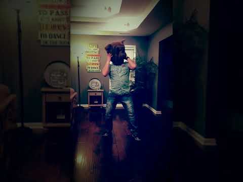 download lagu mp3 mp4 Dancing Bear Head, download lagu Dancing Bear Head gratis, unduh video klip Dancing Bear Head