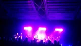 Steve Harley &amp; Cockney Rebel The Best Years of Our Lives Live 1