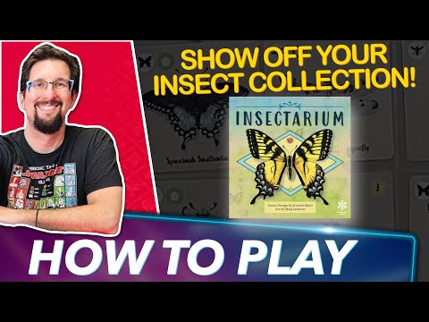 Insectarium | How To Play | Board Game